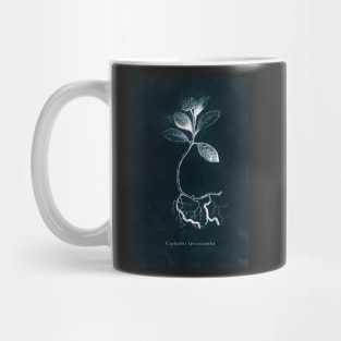 Cyanotype - Cephaelis Ipecacuanha Mug